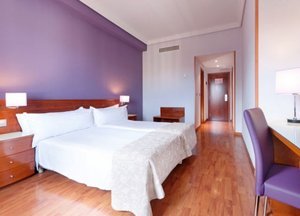 Tryp Madrid Washington Hotel