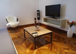 Saga Rental La Latina