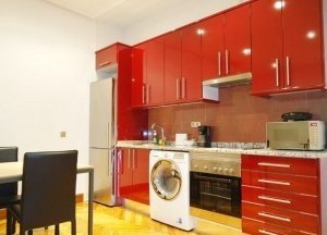 Saga Rental La Latina